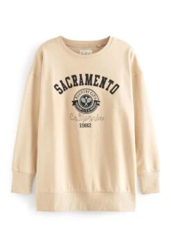 Next Graphic Standard - Sweater - Neutral Sacramento -Next 0b2df784af954c2f94f3beaeb2664194