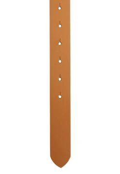 Next White Circle Buckle- Riem - Brown 9 Next White Circle Buckle- Riem - Brown -Next 3225f31c147f4c488fc9ced8bc2e8260