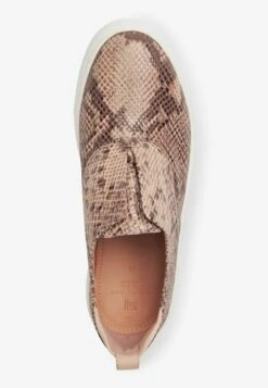 Next Signature - Sneakers Laag - Snake Print -Next 33e3f3fcb3ee4ecab44bb55032c689a4