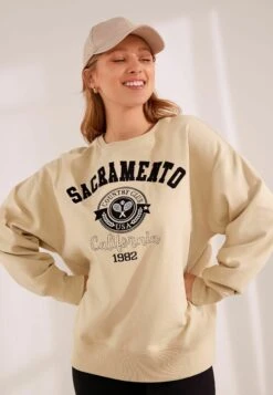 Next Graphic Standard - Sweater - Neutral Sacramento