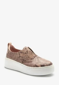 Next Signature - Sneakers Laag - Snake Print -Next 6717cbc7aa154fed9986a8f3132f3ea5